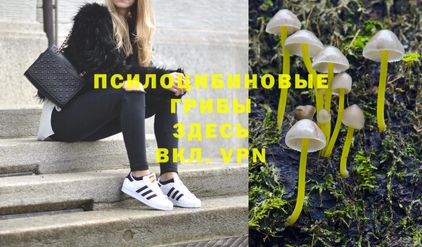 spice Заводоуковск